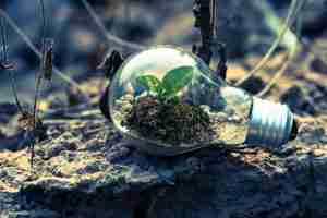 CORSO TRANSIZIONE ECOLOGICA E DIGITALE