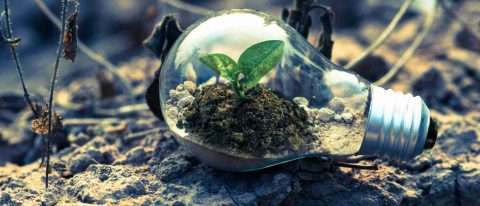 corso transizione ecologica