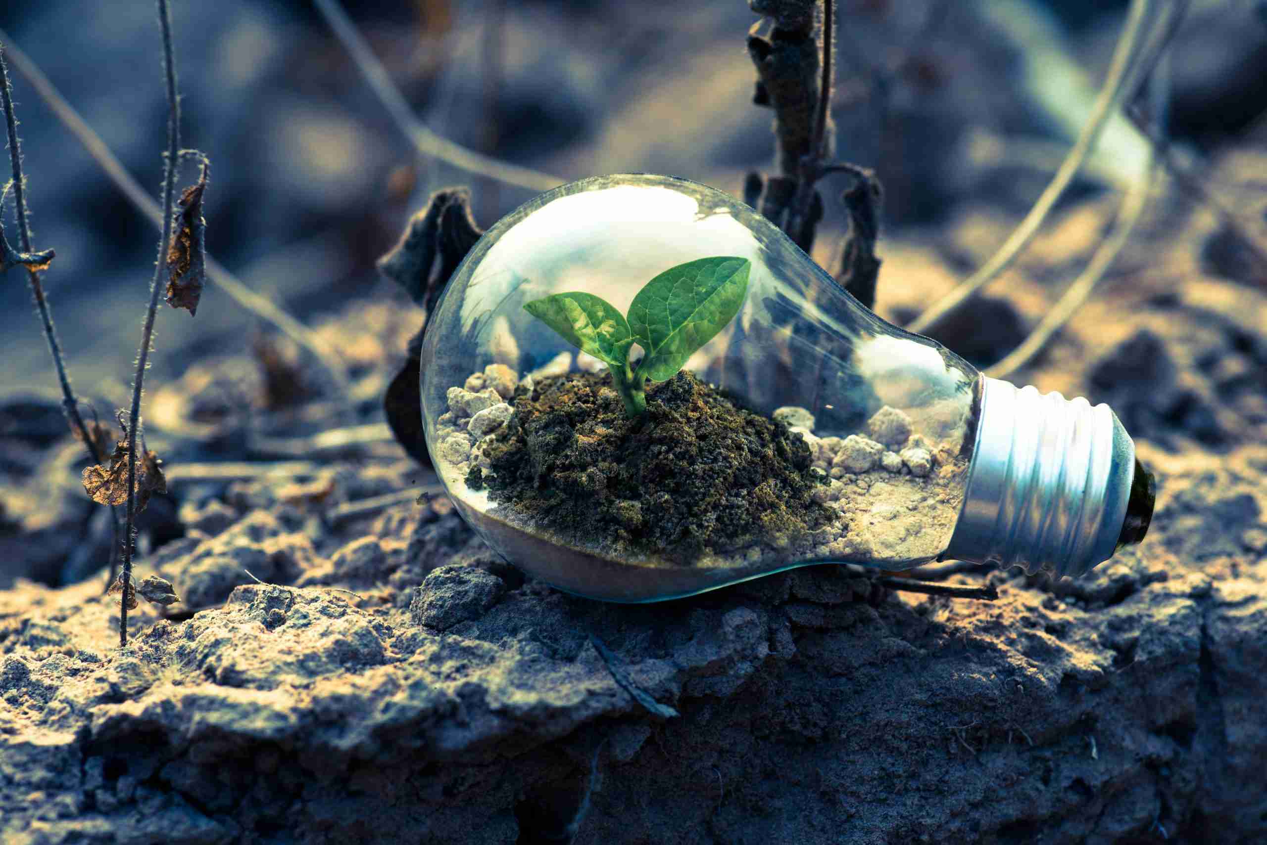 corso transizione ecologica