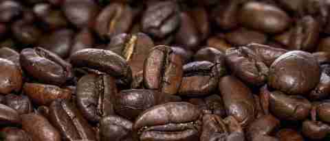 ELEMENTI DI RISTORAZIONE - TORREFAZIONE DEL CAFFE